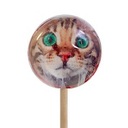 Карамель на палочке с 3D (1шт)