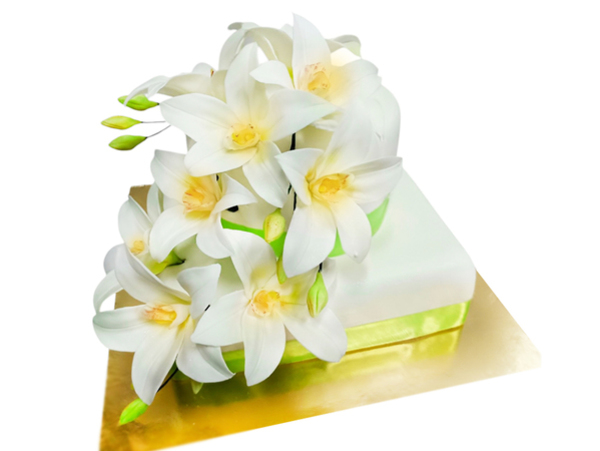 Конструктор