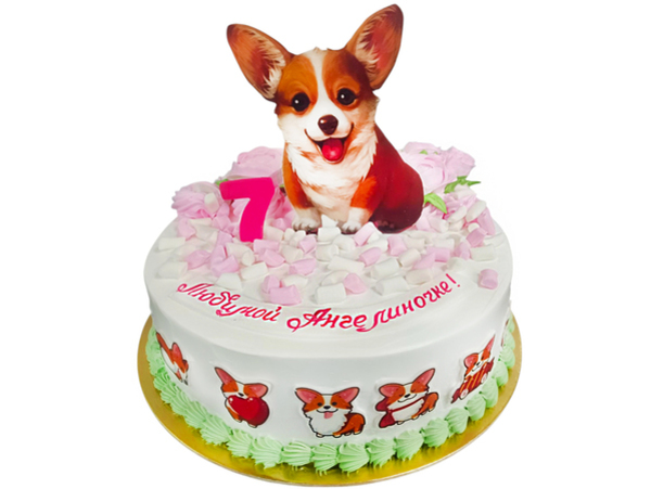 Конструктор